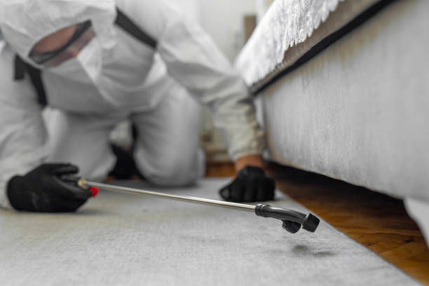 Professional Bed Bug Control technician working in Zeeland, MI